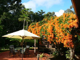 African Cottage, The Rondawel, Kalahari Cottage And Cape Cottage - Accommodation ACT 0